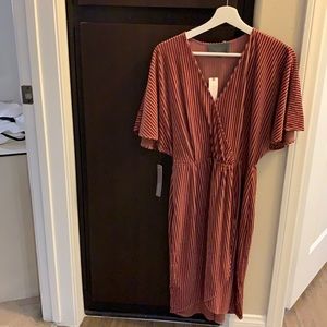 NWT pink velvet strip dress